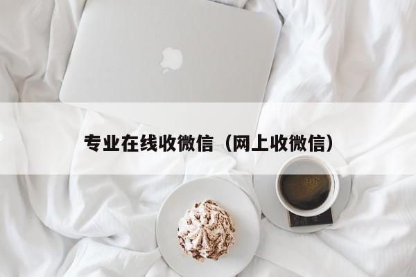 专业在线收微信（网上收微信）