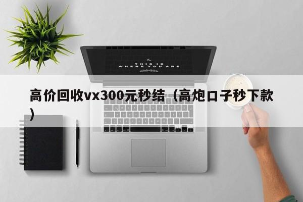 高价回收vx300元秒结（高炮口子秒下款）