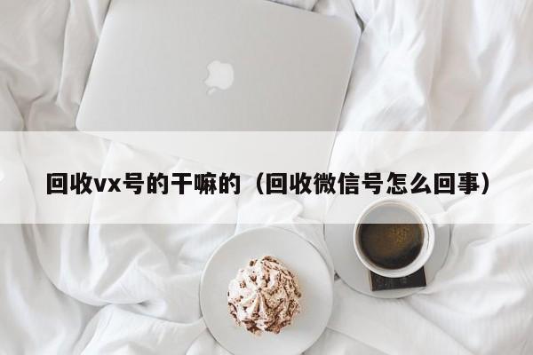 回收vx号的干嘛的（回收微信号怎么回事）