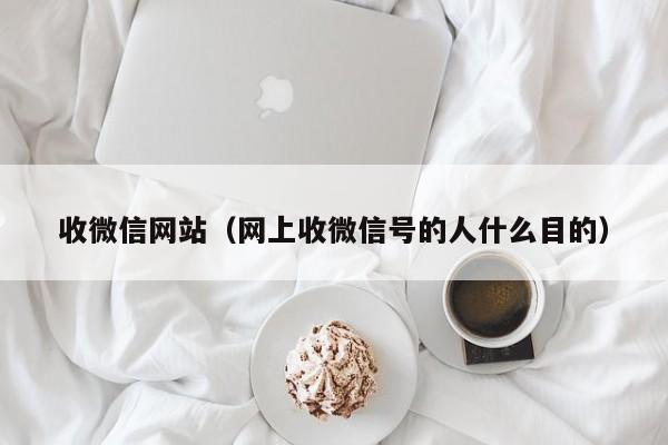 收微信网站（网上收微信号的人什么目的）