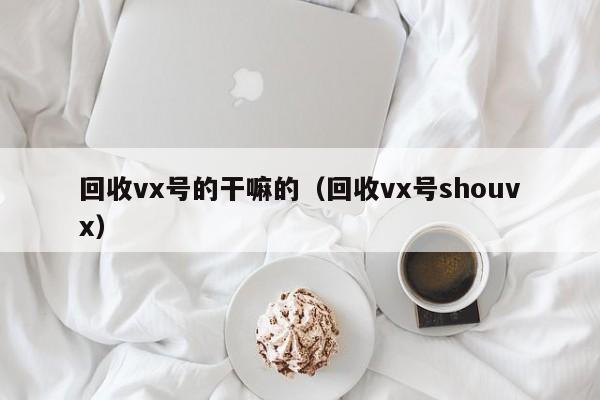 回收vx号的干嘛的（回收vx号shouvx）